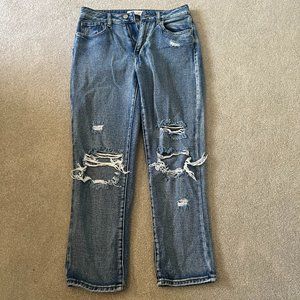 Pacsun Mom Jean, Size 26, Medium Wash